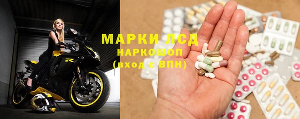 СК Покачи
