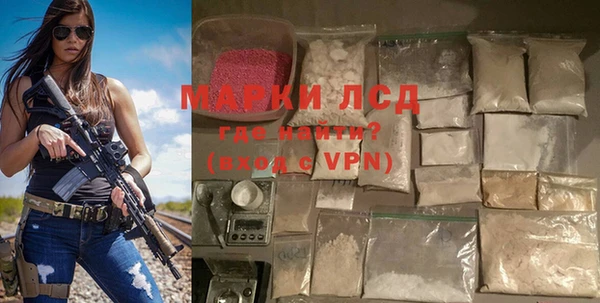 прущие грибы Приозерск