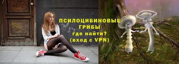прущие грибы Приозерск