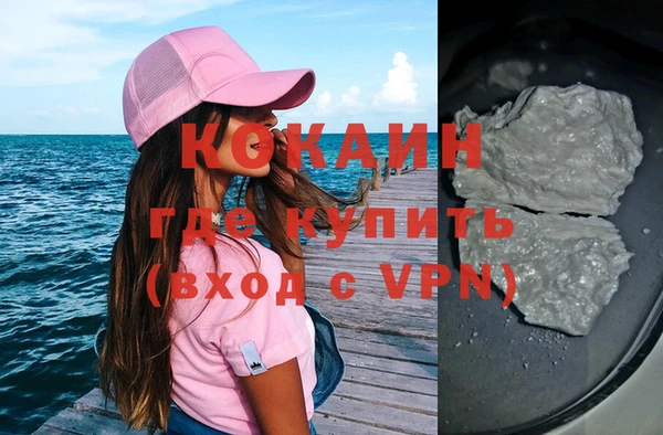 прущие грибы Приозерск
