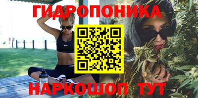 ешки Новозыбков