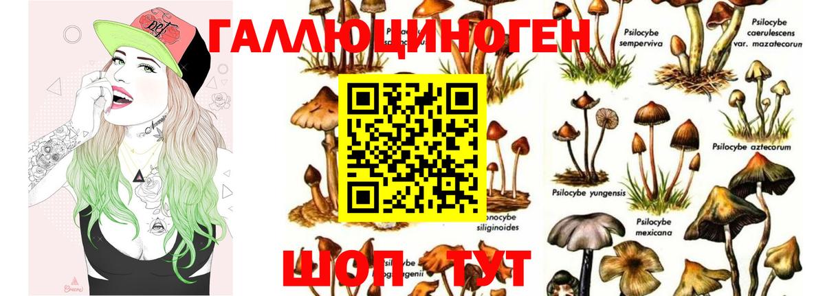 как найти закладки  Барнаул  Псилоцибиновые грибы Psilocybe 